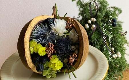 ブッダナッツ ドライフラワー アレンジメント XY006