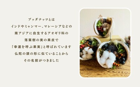 ブッダナッツ ドライフラワー アレンジメント XY006