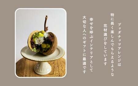 ブッダナッツ ドライフラワー アレンジメント XY006