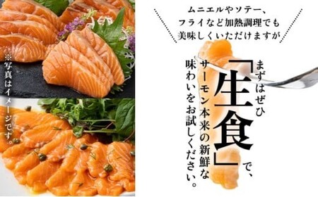 アトランティックサーモン 刺身用柵 900g(養殖)LZ004