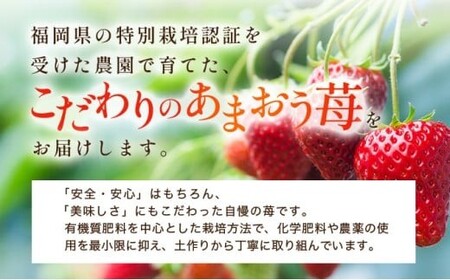 【ふるなびWEEK対象】福岡県産 特別栽培 あまおう L~2Lサイズ(少し小ぶりサイズ)約1140g(約285g×4パック)【2~4月発送】 農園直送 アフター保証 先行予約 福岡産 送料無料 ケーキ ギフト お祝い 限定 季節限定 UN004 FN-Limited-PR