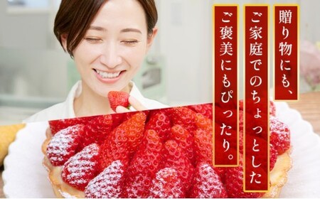 【ふるなびWEEK対象】福岡県産 特別栽培 あまおう L~2Lサイズ(少し小ぶりサイズ)約1140g(約285g×4パック)【2~4月発送】 農園直送 アフター保証 先行予約 福岡産 送料無料 ケーキ ギフト お祝い 限定 季節限定 UN004 FN-Limited-PR