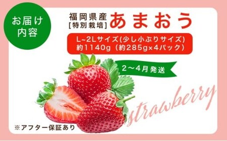 【ふるなびWEEK対象】福岡県産 特別栽培 あまおう L~2Lサイズ(少し小ぶりサイズ)約1140g(約285g×4パック)【2~4月発送】 農園直送 アフター保証 先行予約 福岡産 送料無料 ケーキ ギフト お祝い 限定 季節限定 UN004 FN-Limited-PR