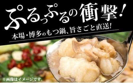 牛もつ鍋 味噌味 3人前セット