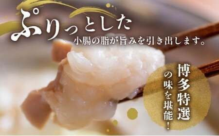 【プリプリの国産牛小腸のみ使用】博多特選もつ鍋(醤油味・2.5人前)【福岡ブランド 】| 短期配送 国産 ホルモン 牛 小腸 お取り寄せ 醤油
