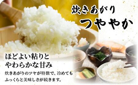 【ふるなびWEEK対象】【令和7年産】福岡県産夢つくし5kg FN-Limited-PR