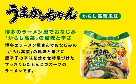 VY011 うまかっちゃん からし高菜風味 合計30袋