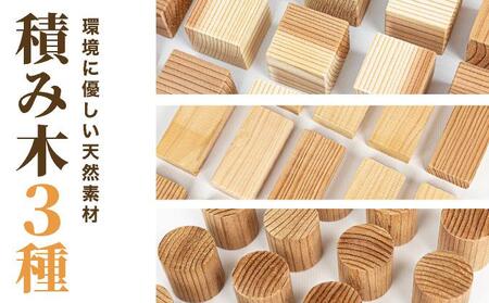 大人も子供も使えるSDG’ｓ積み木