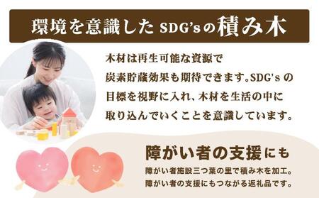 大人も子供も使えるSDG’ｓ積み木
