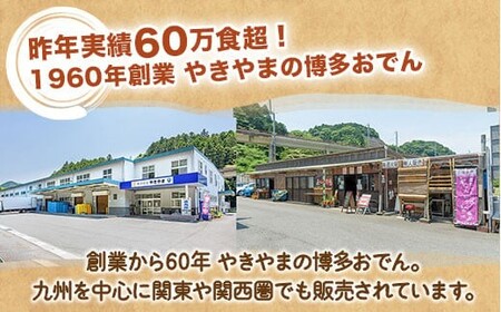 博多おでん 3~4人前×10袋 BZ001