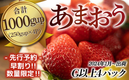 Mz030 福岡県産 あまおう 250gup 4パック いちご イチゴ 苺 果物 フルーツ 22年2月 3月にかけて順次発送予定 福岡県篠栗町 ふるさと納税サイト ふるなび