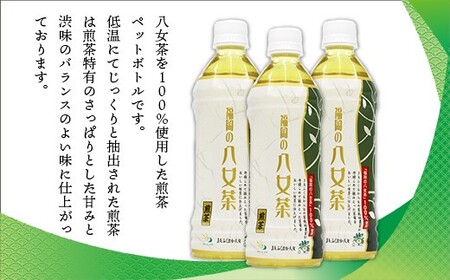福岡の八女茶　煎茶ペットボトル(500ml)×24本　CZ001 