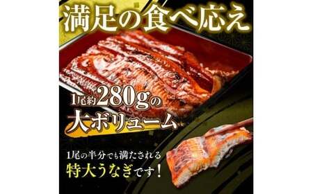 うなぎの蒲焼４尾 タレ付き（３本）　YZ003 