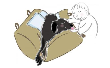 ペット（犬向け）用介護クッション「RAKU2」 インディゴブルー Mサイズ ｜ ペット ペット ペット ペット ペット 