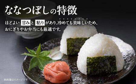 【ふるなびWEEK対象】【令和７年産米】 北海道産ななつぼし　精米5kg ｜ ななつぼし FN-Limited-PR