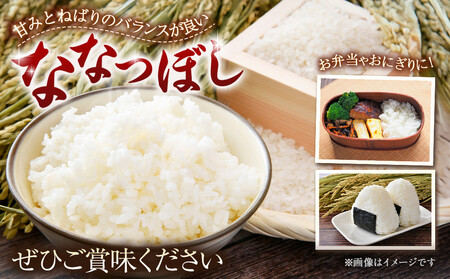 【ふるなびWEEK対象】【令和７年産米】 北海道産ななつぼし　精米5kg ｜ ななつぼし FN-Limited-PR