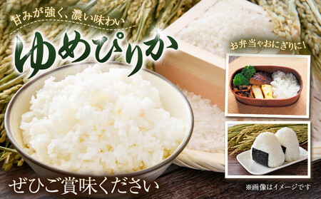 【ふるなびWEEK対象】【令和７年産米】 北海道産ゆめぴりか５kg ｜ ゆめぴりか FN-Limited-PR