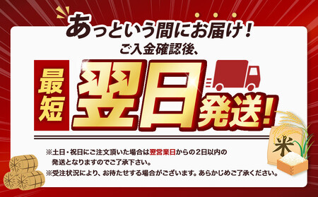【配送地域 関東・東北・甲信越 限定！】 北海道産ななつぼし ５kg　令和７年産米｜ ななつぼし	