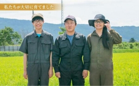 【令和7年産】伊藤農園の特別栽培米ゆめぴりか 胚芽米(10kg)