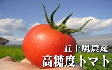 糖度8%以上☆特選トマト2.5kg(桃太郎CFファイト)