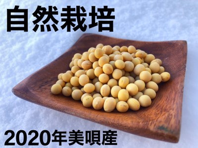 自然栽培の大豆ユキホマレ 1kg