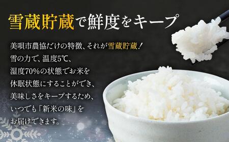 【５か月定期便】雪蔵工房２種セット（おぼろづき５ｋｇ、ななつぼし５ｋｇ）定期便 １０ｋｇ×５回