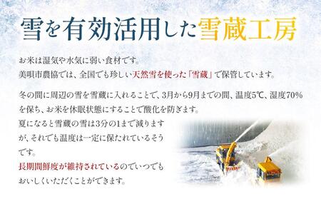 【５か月定期便】雪蔵工房２種セット（おぼろづき５ｋｇ、ななつぼし５ｋｇ）定期便 １０ｋｇ×５回