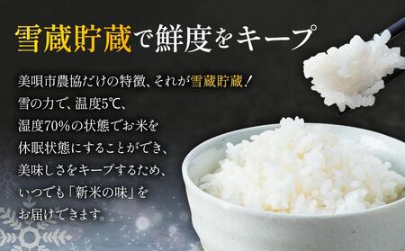 【5か月定期便】 ななつぼし 10kg ×5回 雪蔵工房 特Ａ厳選米  【令和7年産】｜ ななつぼし 