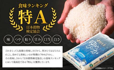 【令和7年産】 雪蔵工房 2種セット 10kg ゆめぴりか、おぼろづき （各5kg） ｜ ゆめぴりか    