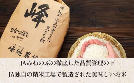 【ＪＡみねのぶ直送定期便】令和6年産ななつぼし１０ｋｇ（５ｋｇ×２）×３回【米 米 米 米 米 米  お米 ななつぼし 美唄 米 白米 こめ 北海道 米  ななつぼし】