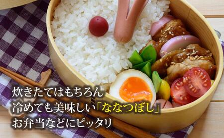 【ＪＡみねのぶ直送定期便】令和6年産ななつぼし１０ｋｇ（５ｋｇ×２）×３回【米 米 米 米 米 米  お米 ななつぼし 美唄 米 白米 こめ 北海道 米  ななつぼし】