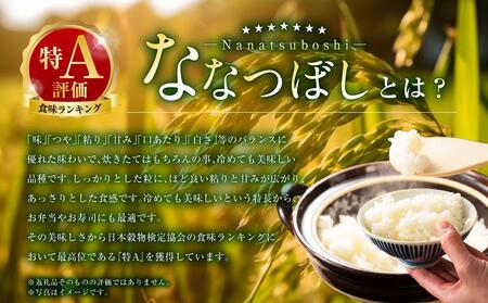 【ＪＡみねのぶ直送定期便】令和6年産ななつぼし１０ｋｇ（５ｋｇ×２）×６回【米 お米 ななつぼし 美唄 米 白米 こめ 北海道 米  ななつぼし】