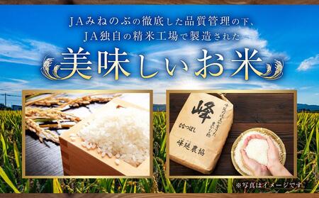 【ＪＡみねのぶ直送定期便】令和6年産ななつぼし１０ｋｇ（５ｋｇ×２）×６回【米 お米 ななつぼし 美唄 米 白米 こめ 北海道 米  ななつぼし】