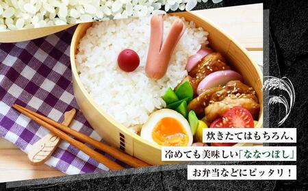 【ＪＡみねのぶ直送定期便】令和6年産ななつぼし１０ｋｇ（５ｋｇ×２）×６回【米 お米 ななつぼし 美唄 米 白米 こめ 北海道 米  ななつぼし】