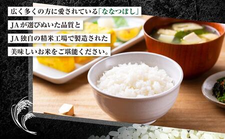 【ＪＡみねのぶ直送定期便】令和6年産ななつぼし１０ｋｇ（５ｋｇ×２）×６回【米 お米 ななつぼし 美唄 米 白米 こめ 北海道 米  ななつぼし】