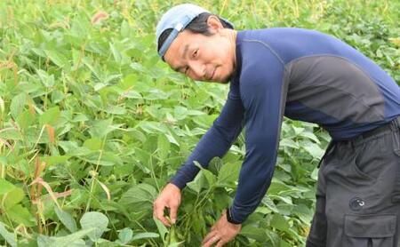 【先行予約】【バランス農法】農薬や肥料を使わずに育てた枝豆　ユキホマレ 1kg（2025年8月中旬発送予定）