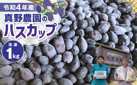【令和4年産】真野農園のハスカップ1.0kg【冷凍】