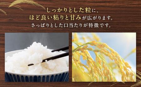 【特Aランク】令和5年北海道産ななつぼし１０ｋｇ（５ｋｇ×２袋）【美唄市産】