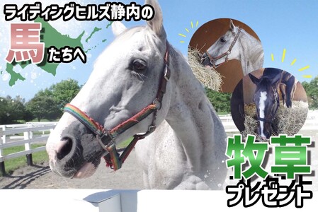 競走馬のふるさと 北海道 新ひだか町 ライディングヒルズ静内 馬 への 牧草ロール プレゼント 静内 うま サラブレッド ポニー 引退馬