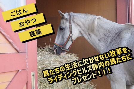 競走馬のふるさと 北海道 新ひだか町 ライディングヒルズ静内 馬 への 牧草ロール プレゼント 静内 うま サラブレッド ポニー 引退馬