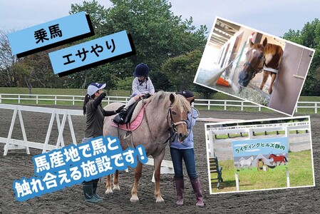 競走馬のふるさと 北海道 新ひだか町 ライディングヒルズ静内 馬 への 牧草ロール プレゼント 静内 うま サラブレッド ポニー 引退馬