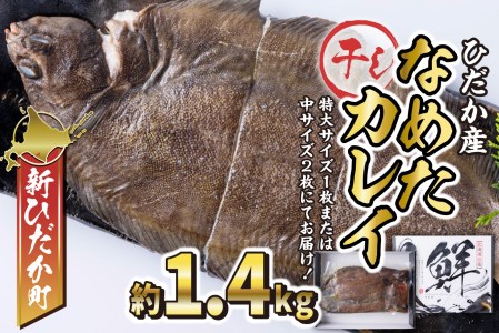 ひだか産 なめたカレイ約1 4kg 北海道新ひだか町 ふるさと納税サイト ふるなび