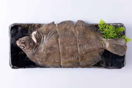 ひだか産 なめたカレイ約1 4kg 北海道新ひだか町 ふるさと納税サイト ふるなび