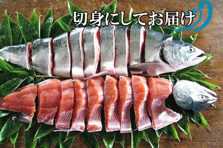 北海道産 鮭 新巻鮭 切身 約 2.2kg さけ サケ 網元特製 頭付き 北海道 新ひだか町