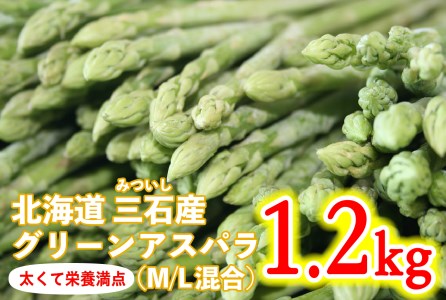 ＜ 2024年 4月 上旬から発送 ＞ 北海道産 グリーンアスパラ M / L 混合 1.2kg ＜予約商品＞