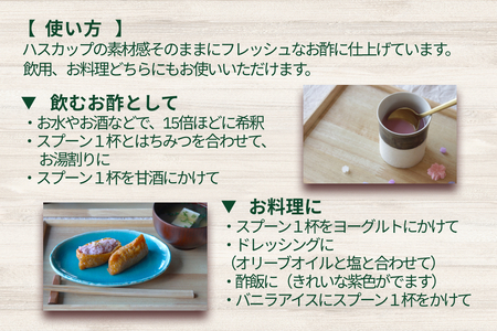 北海道産 ハスカップ 発酵酢 SUNOMO ナチュール 原液タイプ 計 1000ml （ 500ml × 2本 ） 飲むお酢 果実酢 フルーツ ビネガー 無添加