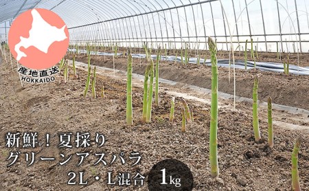 新鮮!夏採り【グリーンアスパラ】2L・L混合(1kg)