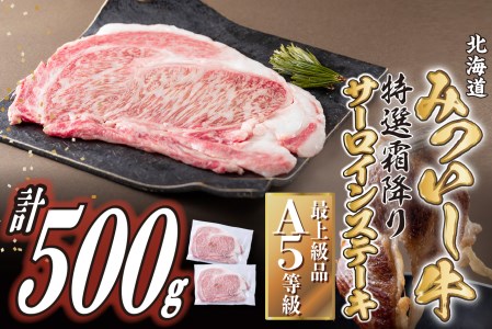 北海道産 黒毛和牛 みついし牛 A5 サーロインステーキ 計 500g (約250g×2枚)