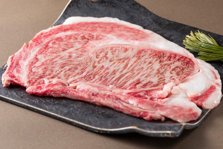 北海道産 黒毛和牛 みついし牛 A5 サーロインステーキ 計 500g (約250g×2枚)