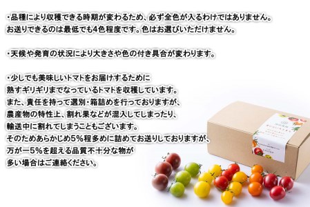 ＜ 2024年8月上旬より発送 ＞ 北海道産 カラフルトマト ミニトマト 1kg #にじいろとまと ＜ 予約商品 ＞
